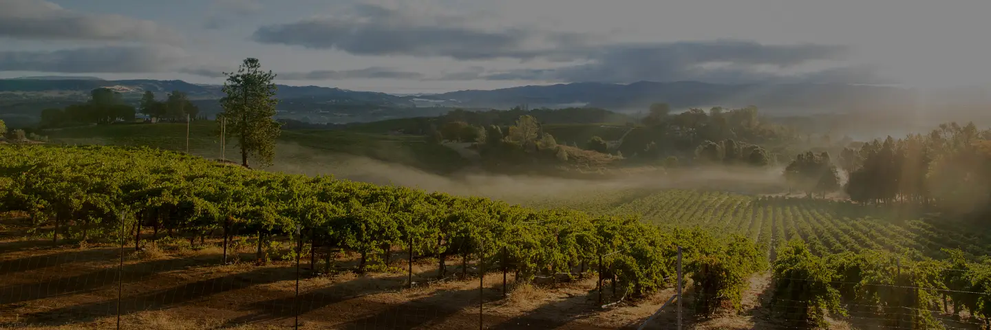 beautiful picture of sonoma county in background