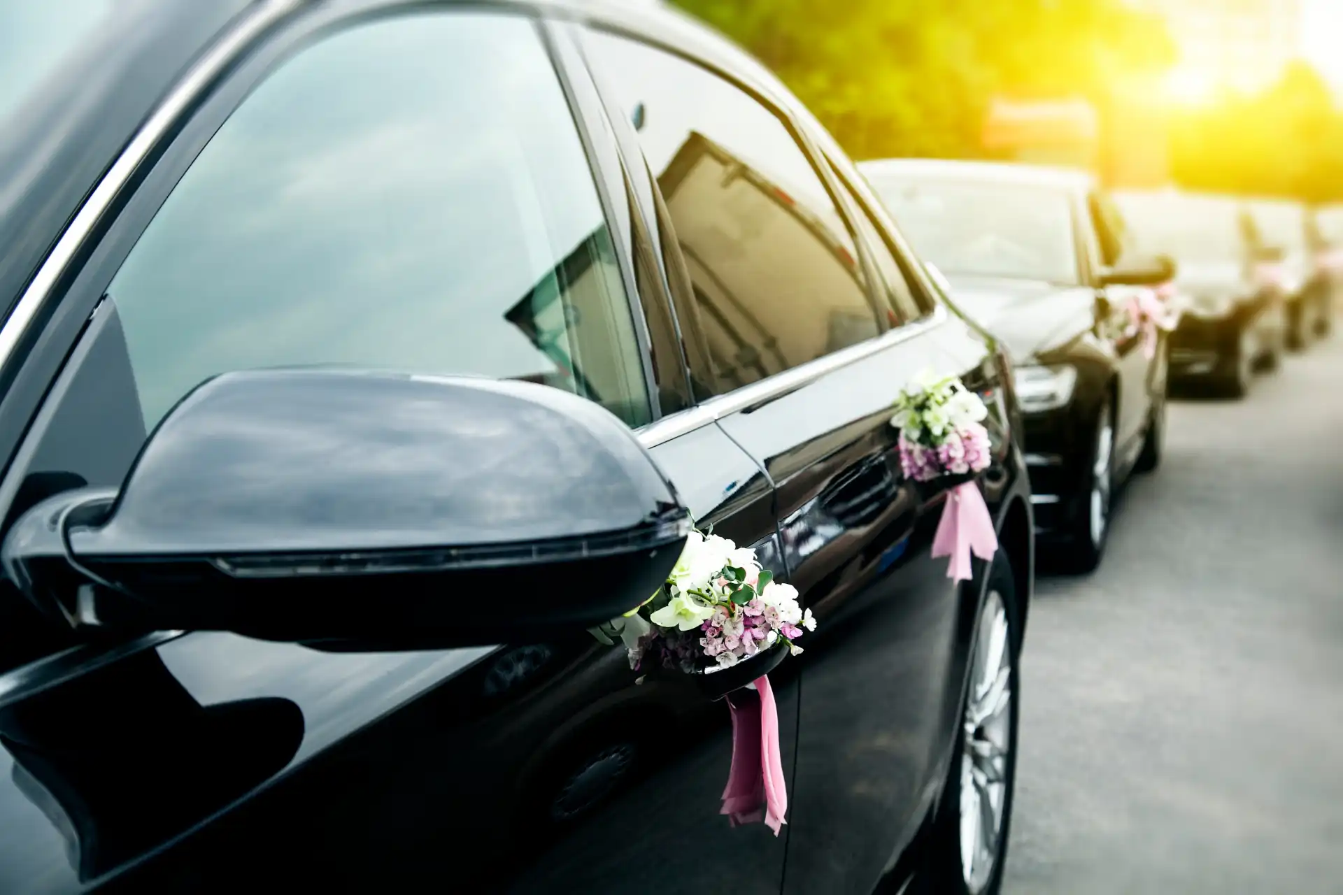 professional limo services in danville